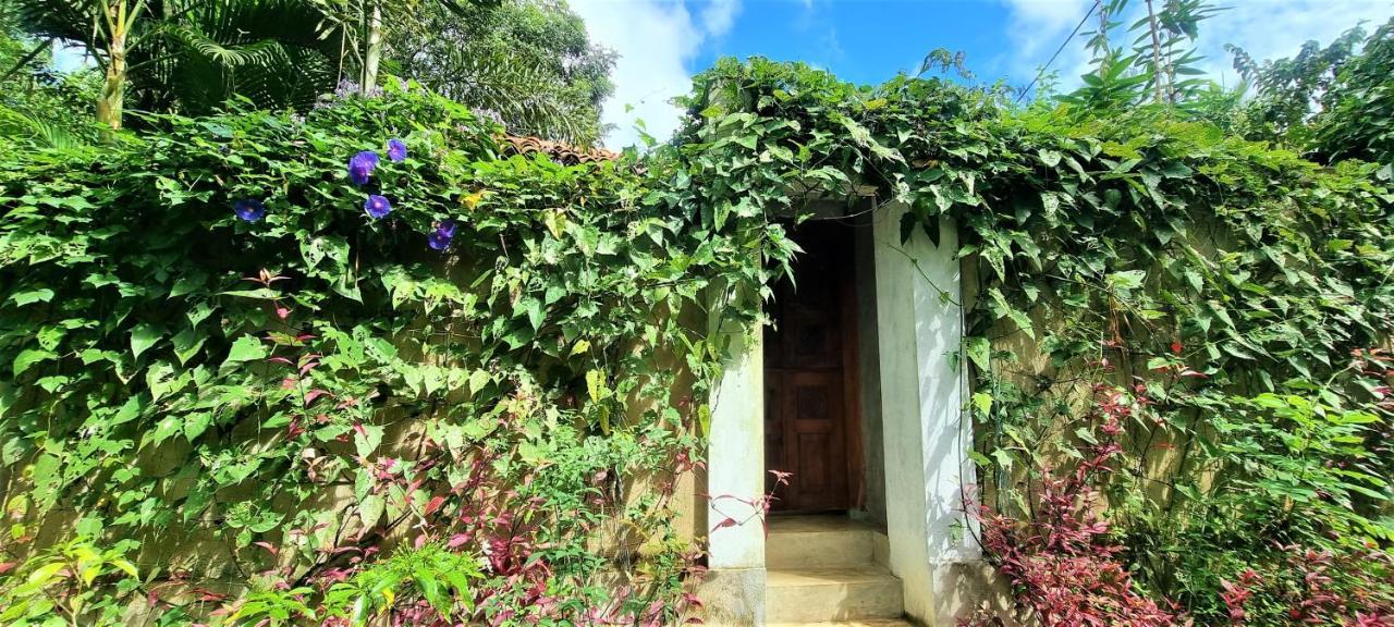 Sand Dollar House, Hiriketiya Dikwella Extérieur photo